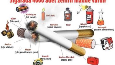 "Alkol ve Sigaranın Sağlık Üzerindeki Etkileri"